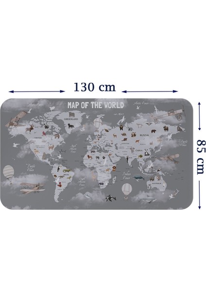 Doğaltercih Eğitici Dünya Haritası Dünya Atlası Çocuk ve Bebek Odası Duvar Sticker 3811XL