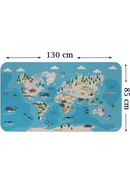 Doğaltercih Eğitici Dünya Haritası Dünya Atlası Çocuk ve Bebek Odası Duvar Sticker 3802XL