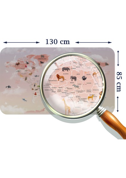 Doğaltercih Eğitici Dünya Haritası Dünya Atlası Çocuk ve Bebek Odası Duvar Sticker 3799XL fırsatları