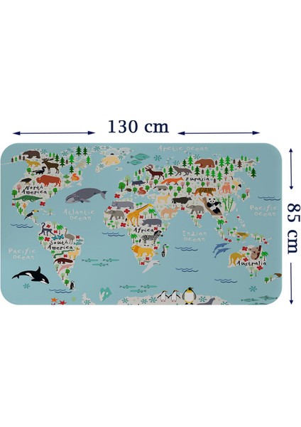 Doğaltercih Eğitici Dünya Haritası Dünya Atlası Çocuk ve Bebek Odası Duvar Sticker 3771XL