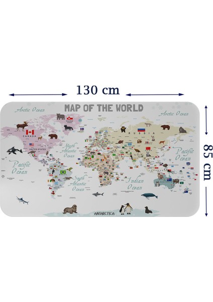 Doğaltercih Eğitici - Öğretici Dünya ve Türkiye Haritası Çocuk Odası Duvar Sticker 3884XL indirimleri