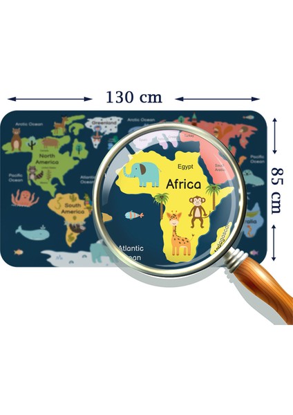 Doğaltercih Eğitici Dünya Haritası Dünya Atlası Çocuk ve Bebek Odası Duvar Sticker 3810XL