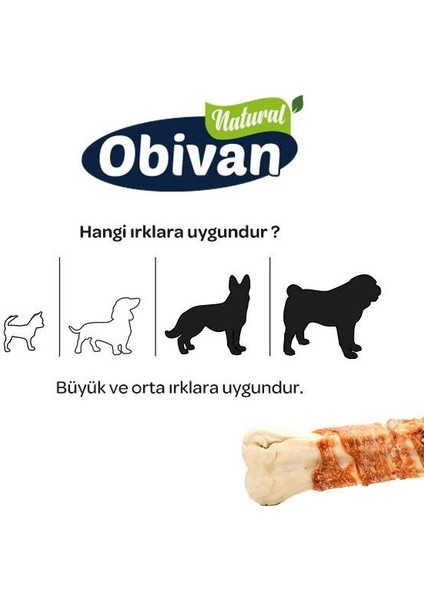 Tavuklu Köpek Diş Bakım Kemiği M