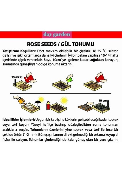 100 Adet Kırmızı Bayaz Gül Çiçeği Tohumu ve 10 Adet Hediye K.renk Lale Çiçek Tohumu