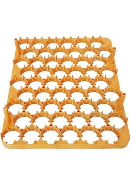 Tavuk Yumurtası Gelişim Viyolü 54 Lük