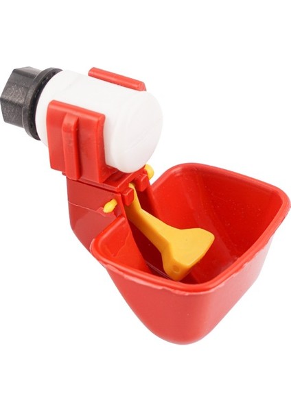 Depo Suluk Dilli Çanaklı