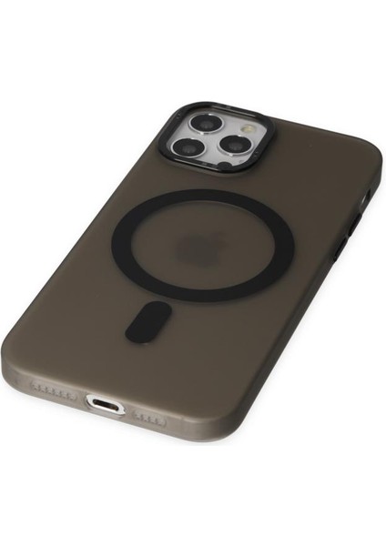 Apple iPhone 11 Pro Max Kılıf Mat Kadifemsi Special Edition Pc Magsafe Kapak