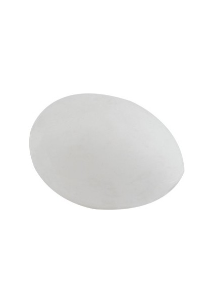 Güvercinler Için Plastik Fol Yumurta 10 Luk Pk.