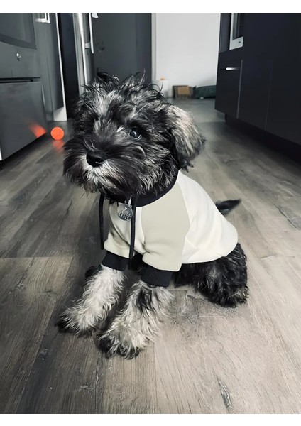 Köpek Sweatshirt Köpek Kıyafeti Polar modelleri