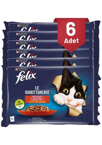 Sığır Etli Kedi Avantajlı Paket (4X85) gr