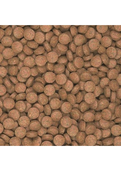 500 Gram Süpervit B Tablets - Tablet Balık Yemi fiyatları