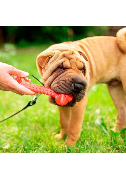 Pa 6486 Sert Kemik 22,5cm fiyatları