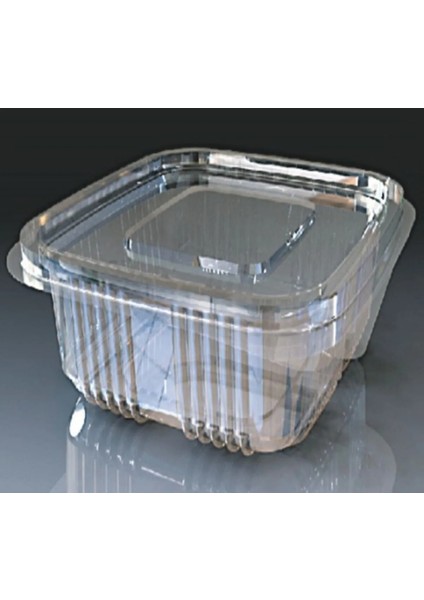Plastik Sızdırmaz Kap 250 gr -100 Adet - 123SEFFAF - V