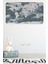 Doğaltercih Eğitici Dünya Haritası Dünya Atlası Çocuk ve Bebek Odası Duvar Sticker 3818XL 2