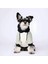 Köpek Sweatshirt Köpek Kıyafeti Polar 2