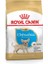 Royal Canın Chihuahua Puppy Junior 1,5 kg Yavru Köpek Maması 1