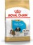 Shihtzu Puppy Junior 1,5 kg Yavru Köpek Maması 1