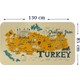 Seçili Renk Şeffaf