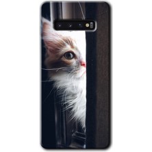 MRC İletişim Samsung Galaxy S10 Kılıf Hd Desen Baskılı Arka Kapak - Kedi Bakışı