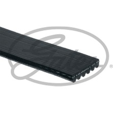 Gates Kanallı V Kayışı Audı, Bmw, Mercedes, Mıtsubushı, Opel, Seat, Skoda, Toyota, Volkswagen, Chevrolet, Daewoo