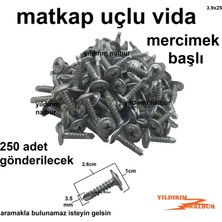 Yıldırım Nalbur 250 Adet Matkap Uçlu Akıllı Vida 2.5 cm Mercimek Başlı Vida Yıldız