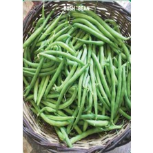 Yerli Eymen Oturak Fasulye Tohumu 100 gr