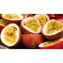 FidanBudur Çarkıfelek Meyvesi 10 Adet Orta Boy pasiflora, passion fruit, passiflora