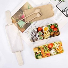 Su Shop 3 Bölmeli Sızdırmaz Yetişkin Bento Kutusu (Yurt Dışından)