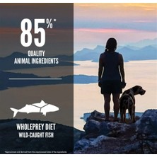 Orijen 6 Six Fish Tahılsız Balıklı Yetişkin Köpek Maması 2 kg
