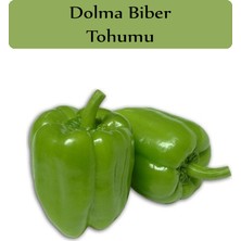 Zencefil Organik Dolma Biber Tohumu 1 Paket (10GR=1000+ Adet) Kandil Dolma Biberi Tohumu