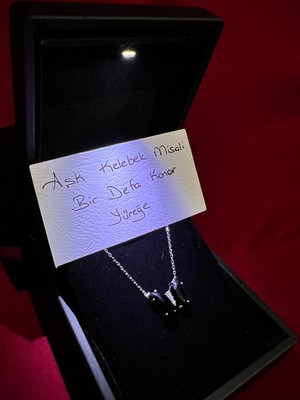 925 Gümüş Işıklı Kutu ile Siyah Taşlı Lotus Çiçeği 925 Ayar Gümüş Kolye