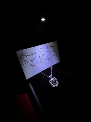 925 Gümüş Işıklı Kutu ile Yüz Dilde Seni Seviyorum 925 Ayar Gümüş Kolye