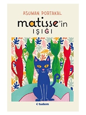 Matisse'in Işığı