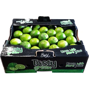 Zencefil Organik  Lime Limon 1 Kasa 4,5 kg Misket Limonu Lime Yeşil Limon Ithal Lime