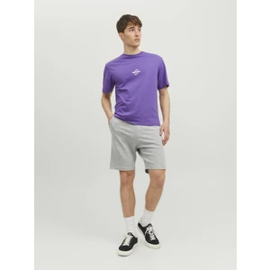 Jack & Jones Logo Detaylı Sweat Şort- Shark