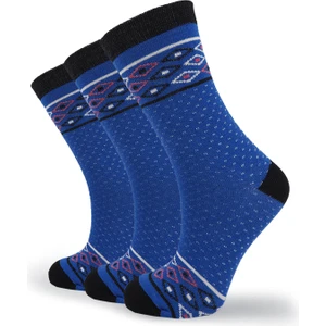 Black Arden Socks 3 Çift Mavi Benekli Kilim Desenli Bayan Soket Çorap