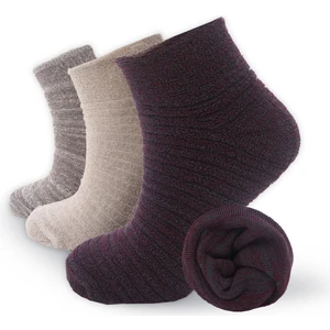 Black Arden Socks 3 Çift Bordo Bej Sütlü Kahve Renkli Kadın Havlu Bölgesel Patik Çorap