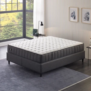 Bedding Ionic Energy Pro Pocket Yaylı Yatak