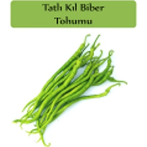 Zencefil Organik Tatlı Kıl Biber Tohumu 1 Paket (5 GR=700+ Adet) Tatlı Biber Tohumu