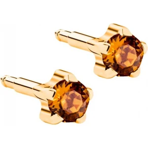 Kulak Delme Küpesi Gold Yıldız