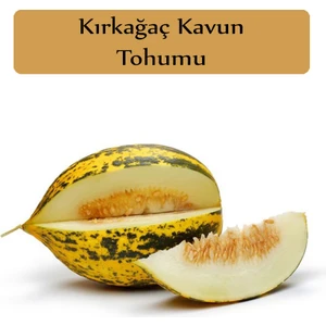 Zencefil Organik Kırkağaç Kavun Tohumu 1 Paket (10GR=300+ Adet) Kırk Ağaç Kavun Tohumu