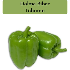 Zencefil Organik  Biber Tohumu 1 Paket (10GR=1000+ Adet) Kandil  Biberi Tohumu