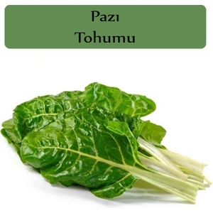 Zencefil Organik Pazı Tohumu 1 Paket (10GR=1000+ Adet)