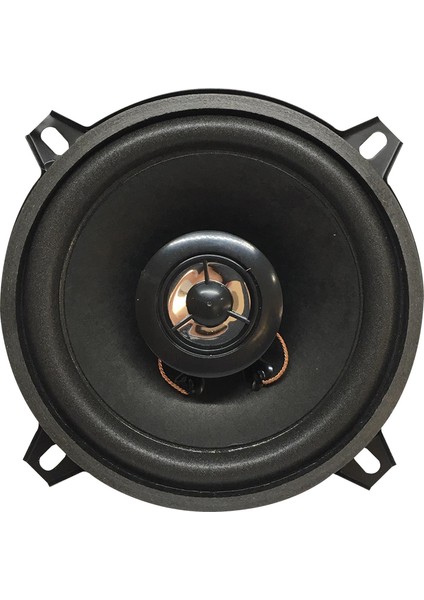 PW-13T 4 Ohm 100 Watt 13 cm Tweteerlı Tekli Hoparlor