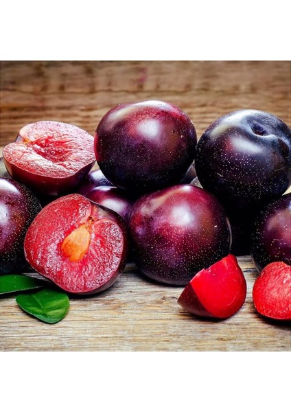 - Içi -Dışı Kırmızı Meyveli Erik Fidanı (150 Cm. Boy / 2 Yaş / Seçkin Çeşit / Açık Kök) fırsatları