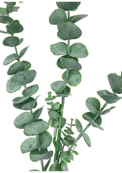 Yapay Çiçek Yeşil Okaliptus 3dallı Uzun Dal 76CM Eucalyptus