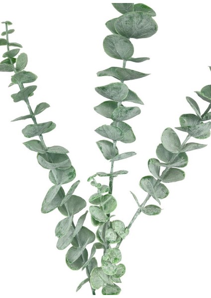 Yapay Çiçek Pastel Yeşil Okaliptus 3dallı Uzun Dal 76CM Eucalyptus