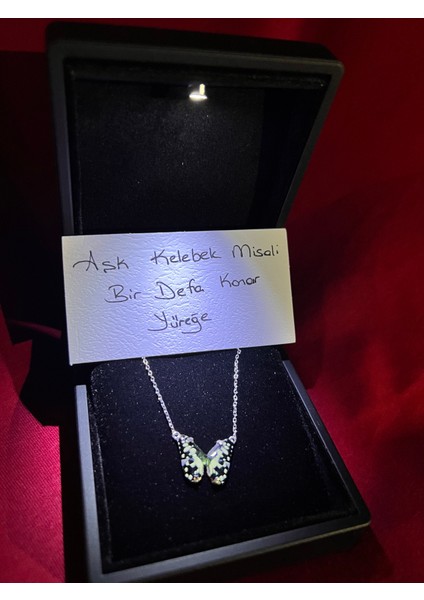 Işıklı Kutu ile Sarı Mineli Kelebek 925 Ayar Gümüş Kolye
