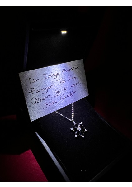 Işıklı Kutu ile Siyah Taşlı Lotus Çiçeği 925 Ayar Gümüş Kolye