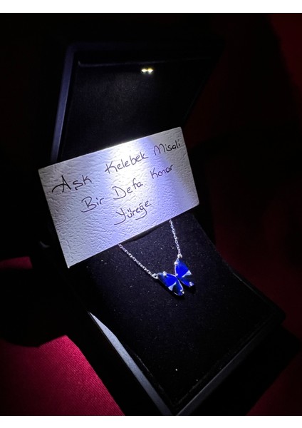 Işıklı Kutu ile Mavi Mineli Kelebek 925 Ayar Gümüş Kolye
